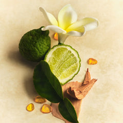 Hair & Body Mist Y9