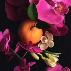 Full Body Fragrance Routine H6